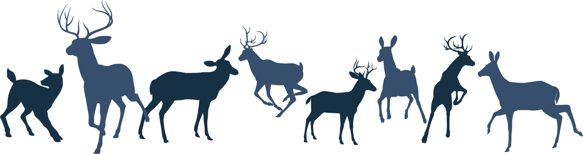 deer website banner